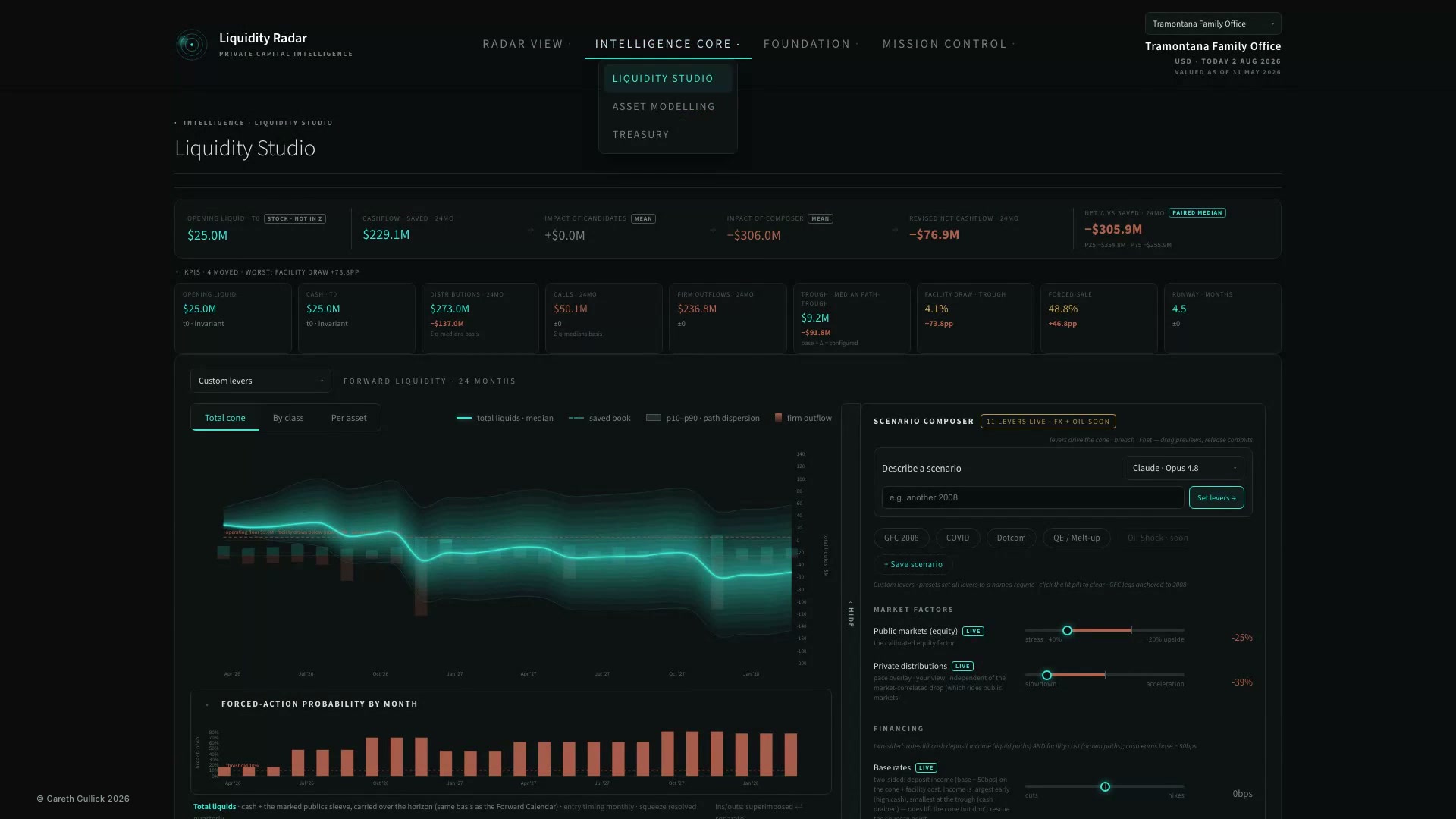 Liquidity Radar decision modelling interface
